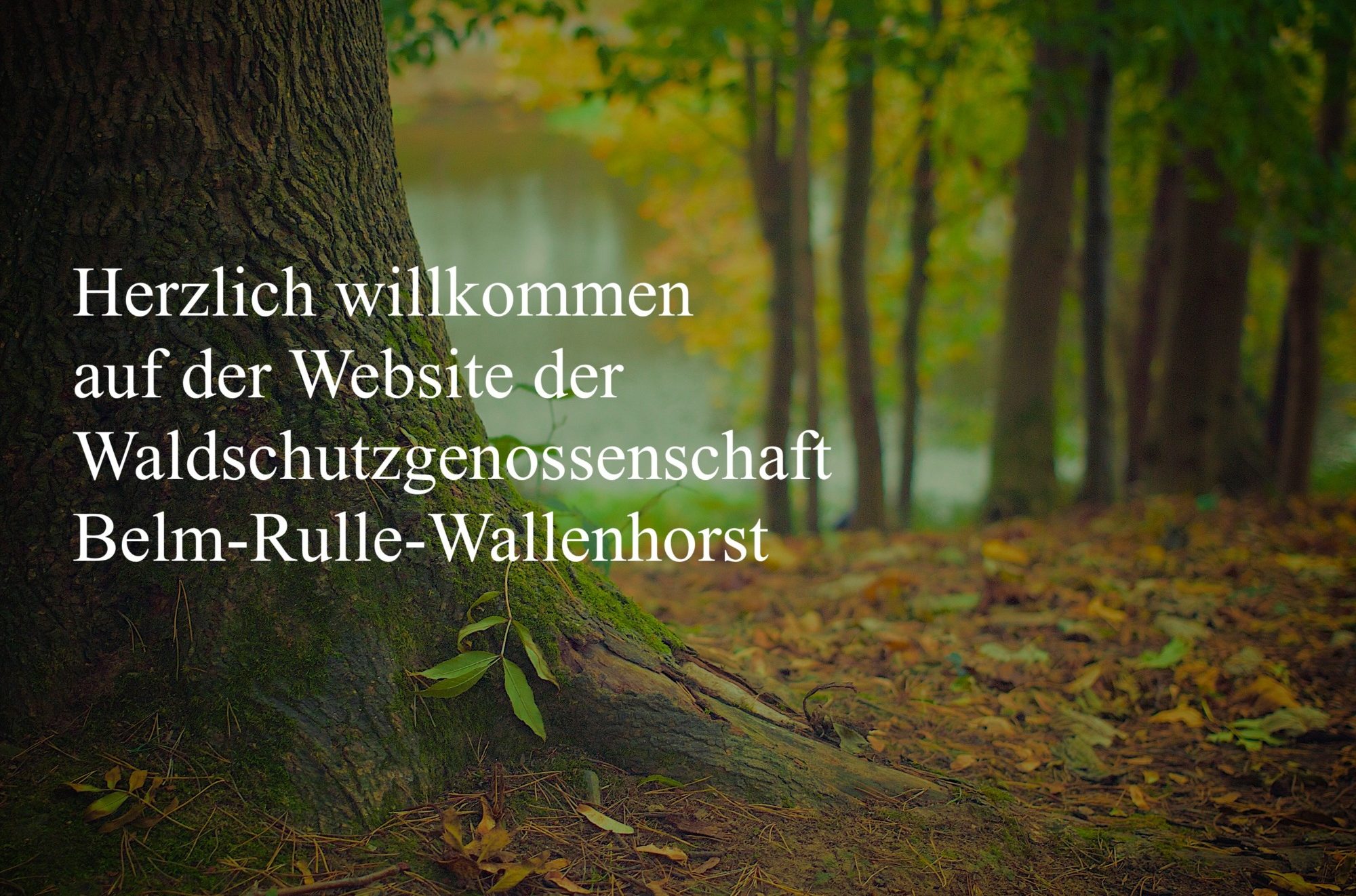 Herzlich willkommen auf der Website der Waldschutzgenossenschaft Belm-Rulle-Wallenhorst